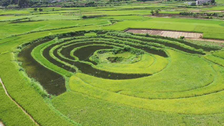 贵州兴义万峰林八卦田水稻环绕4k航拍视频