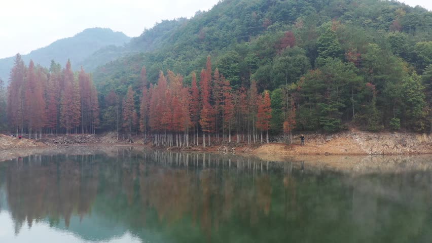 义乌小九寨赤岸雅治街村朝阳水库红杉林4k航拍视频