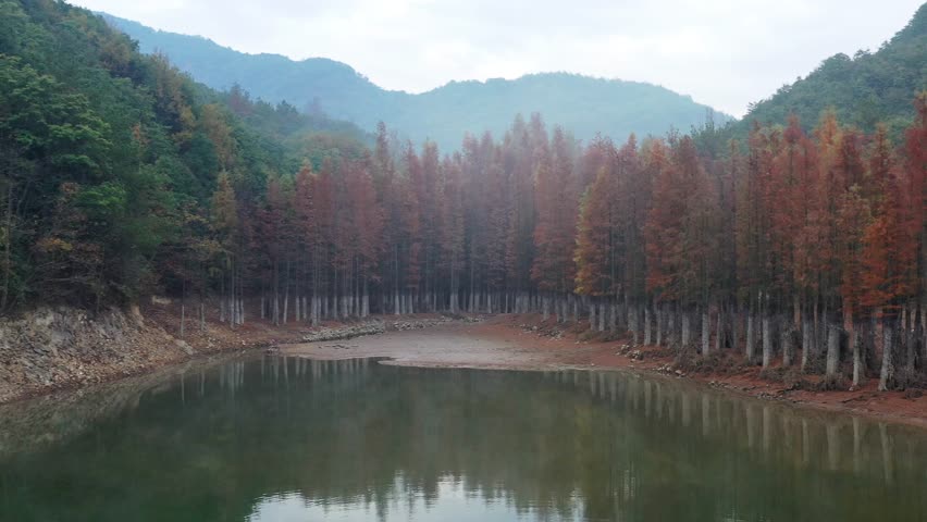 义乌小九寨赤岸雅治街村朝阳水库红杉林4k航拍视频